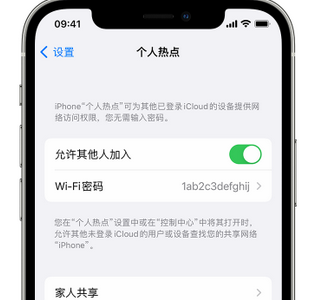 玄武apple服务站点分享iPhone上个人热点丢失了怎么办 