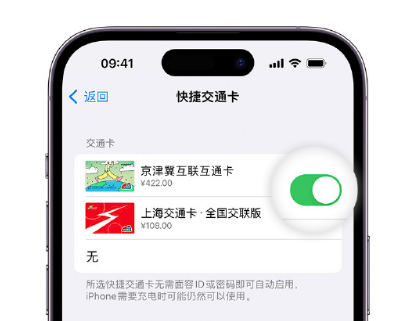 玄武apple维修点分享iPhone上更换Apple Pay快捷交通卡手绘卡面 