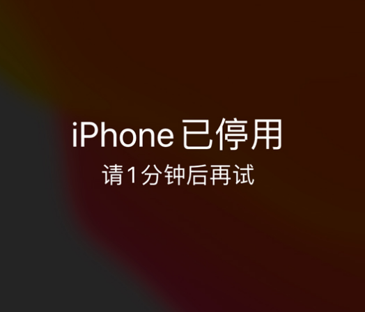 玄武苹果手机维修分享:iPhone 显示“不可用”或“已停用”怎么办？还能保留数据吗？ 