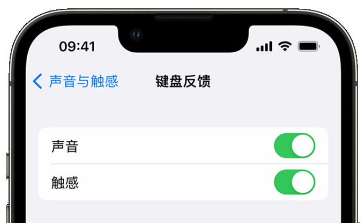 玄武苹果手机维修分享iPhone 14触感键盘使用方法 