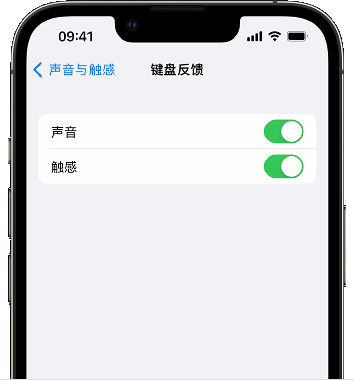 玄武苹果14维修店分享如何在 iPhone 14 机型中使用触感键盘 