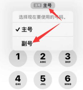 玄武苹果14维修店分享iPhone 14 Pro Max使用副卡打电话的方法 