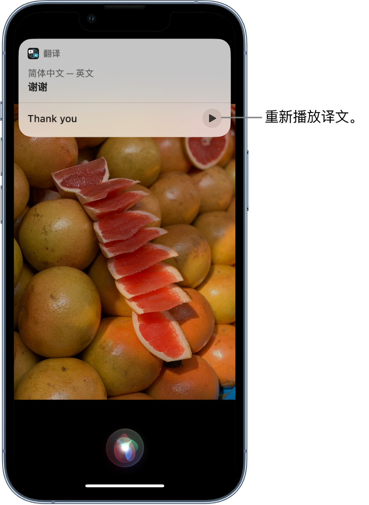 玄武苹果14维修分享 iPhone 14 机型中使用 Siri：了解 Siri 能帮你做什么 