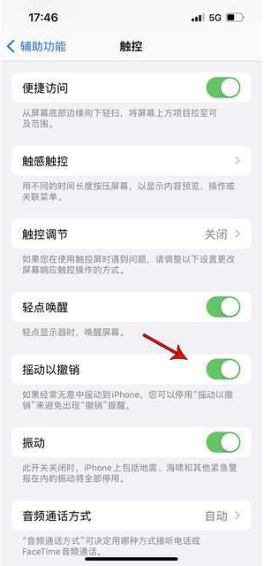 玄武苹果手机维修分享iPhone手机如何设置摇一摇删除文字 